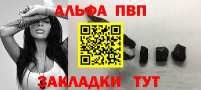 твердый Кингисепп