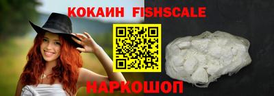 твердый Кингисепп