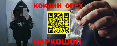 твердый Кингисепп