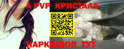 твердый Кингисепп