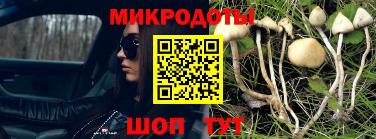Псилоцибиновые грибы мухоморы Десногорск