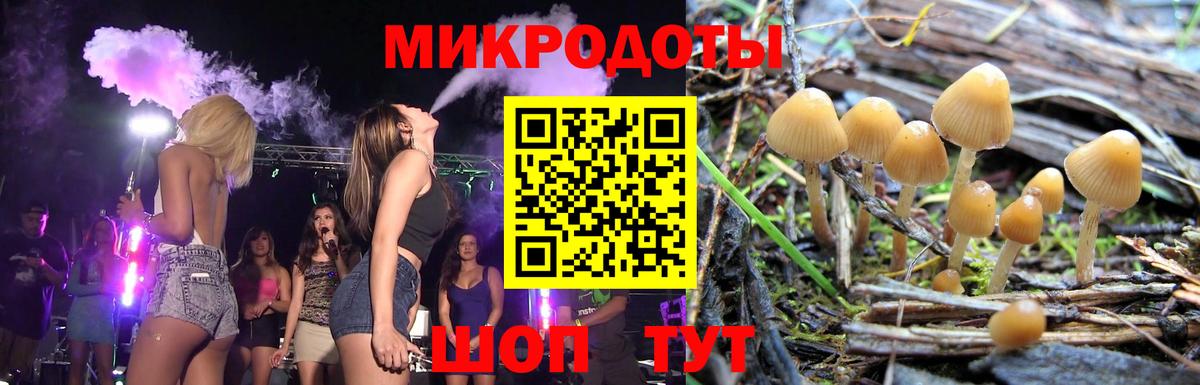 Псилоцибиновые грибы Cubensis  Вход с VPN  Десногорск 